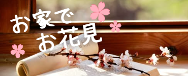 おうちでお花見