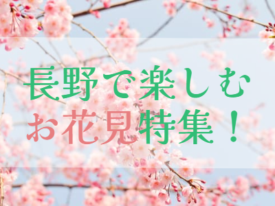 花見は長野県で！